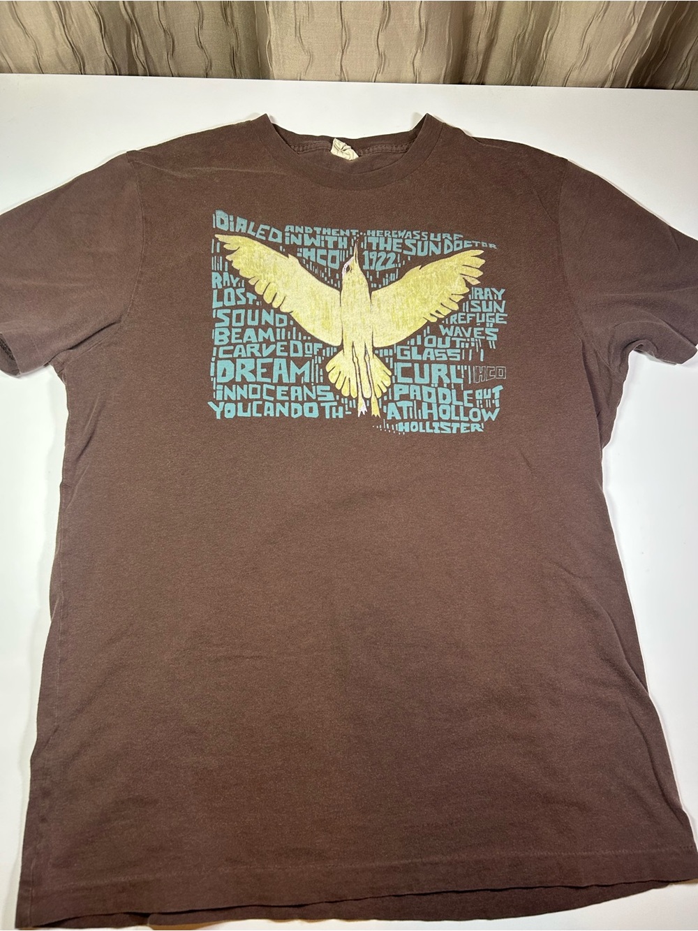 Hollister Men’s Medium Brown Short Sleeve Tee Yellow Blue Bird Graphic Vintage